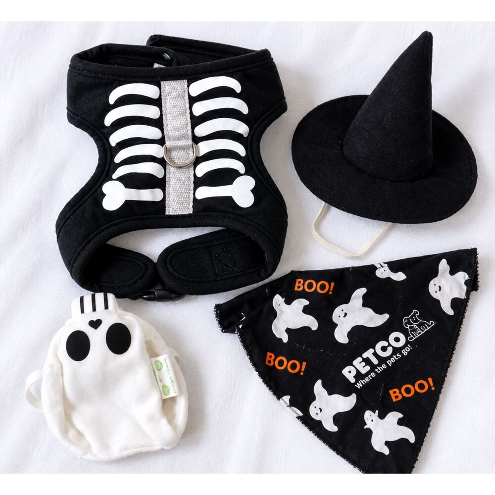 Dog Halloween Costume Lot Skeleton Harness Witch Hat Ghost Boo Bandana 4 Pc XS